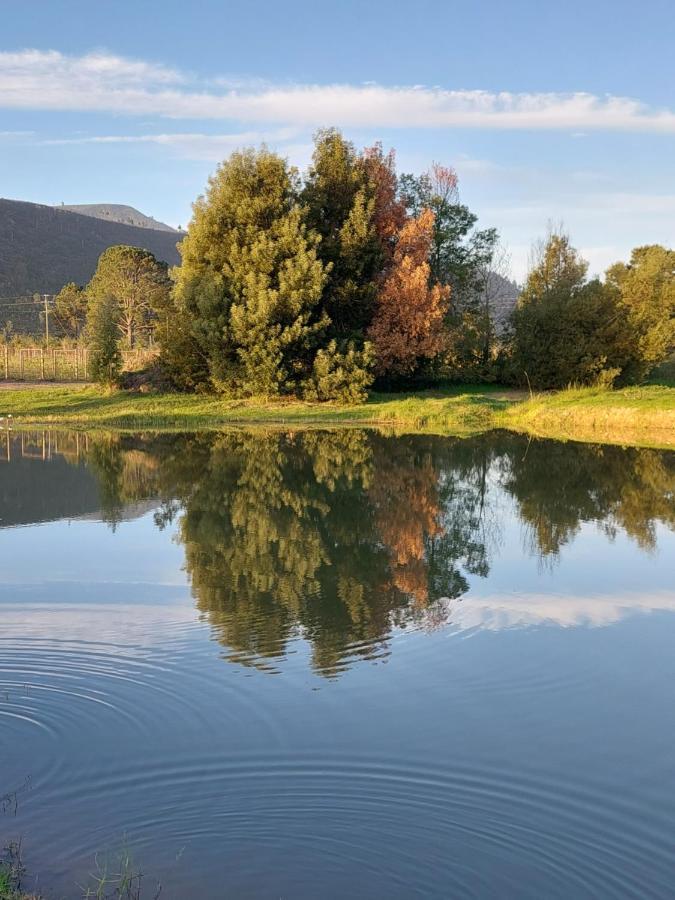 20 Good Summers Farm Stay The Crags Kültér fotó