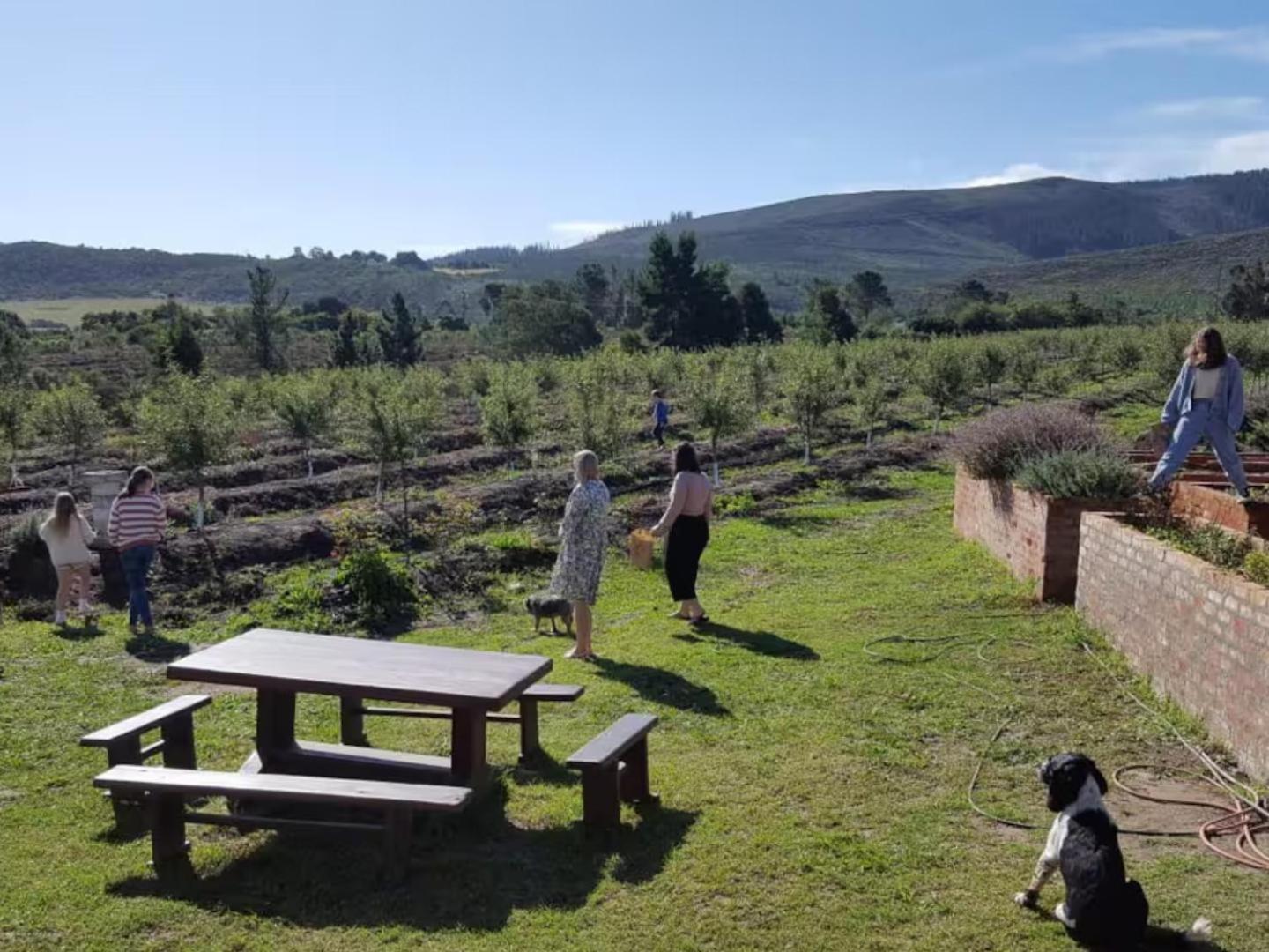 20 Good Summers Farm Stay The Crags Kültér fotó