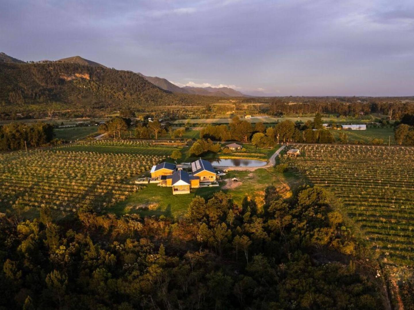 20 Good Summers Farm Stay The Crags Kültér fotó