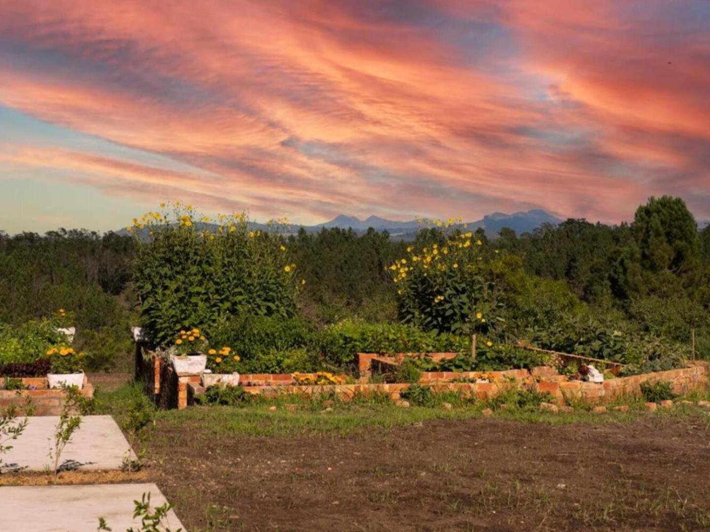 20 Good Summers Farm Stay The Crags Kültér fotó