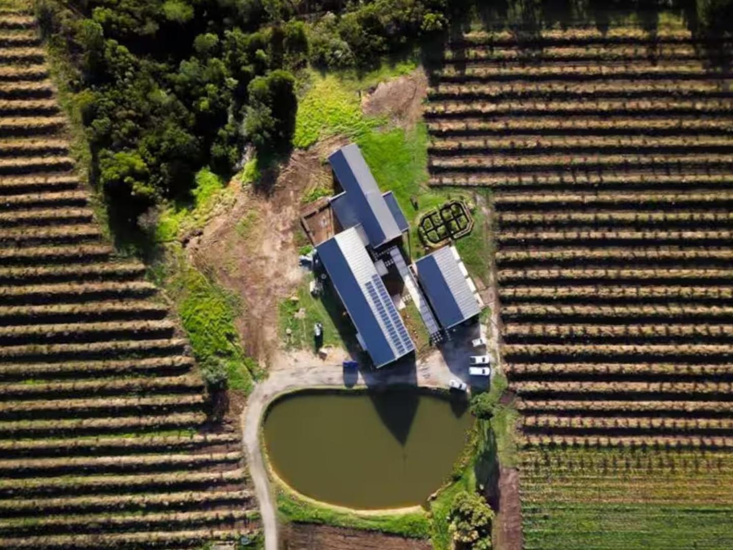 20 Good Summers Farm Stay The Crags Kültér fotó